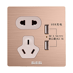 10A������������˫USB