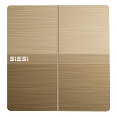 10A��λ����/˫���ؿ���