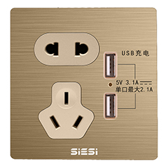 10A������������˫USB