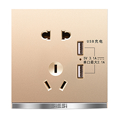 10A������������˫USB