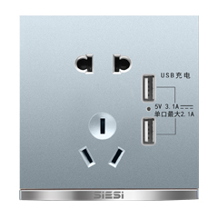 10A������������˫USB