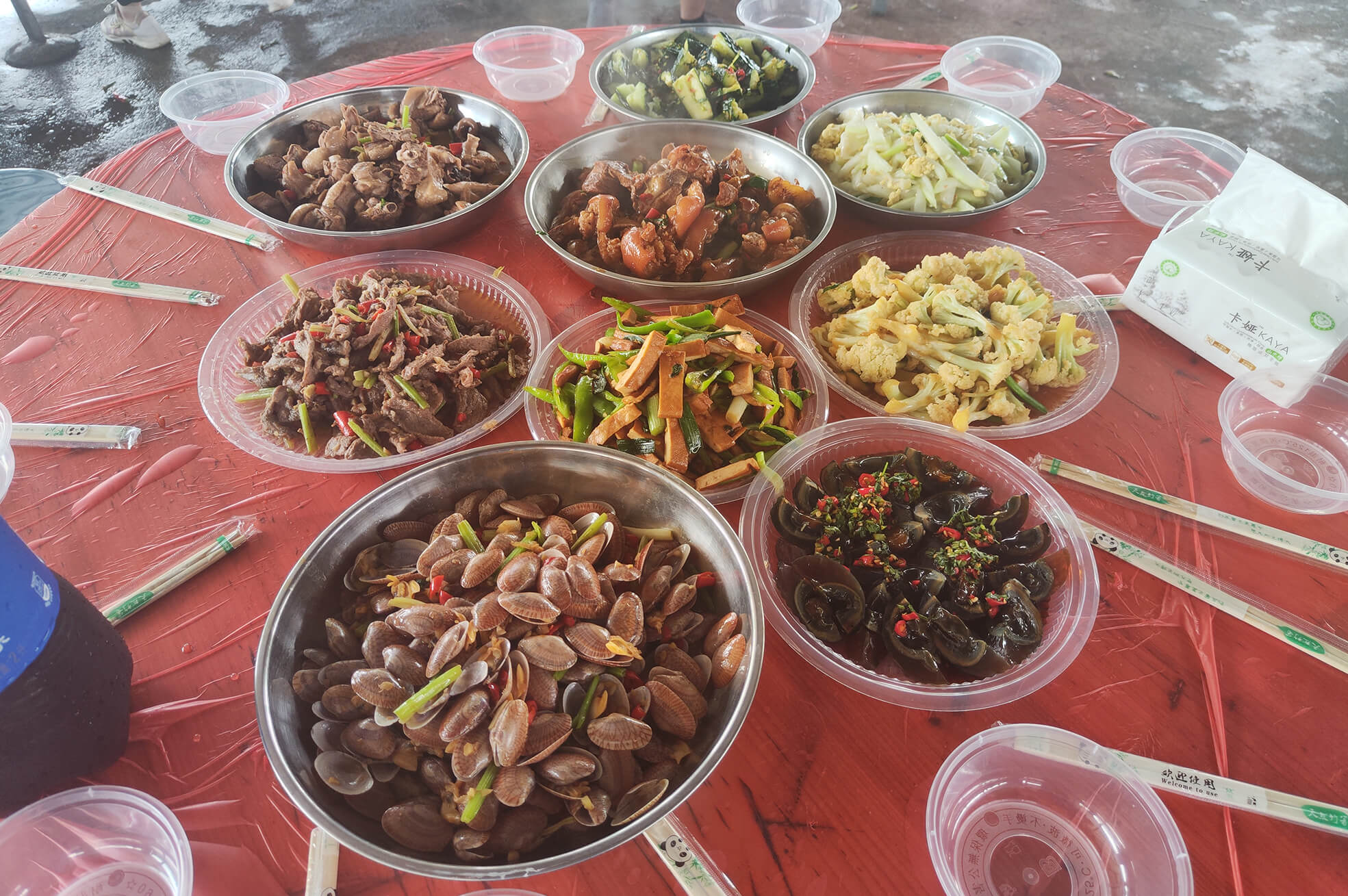 EVO����(�й���)��Ѷ����