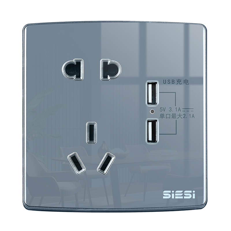 10A ������������˫USB